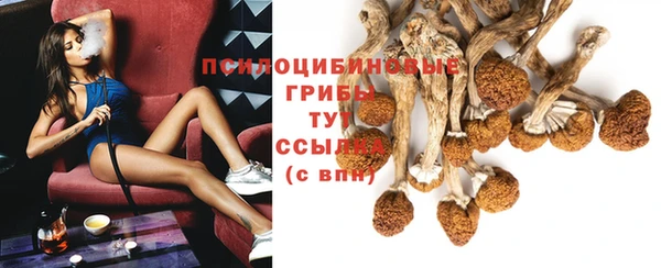 дурь Дмитриев