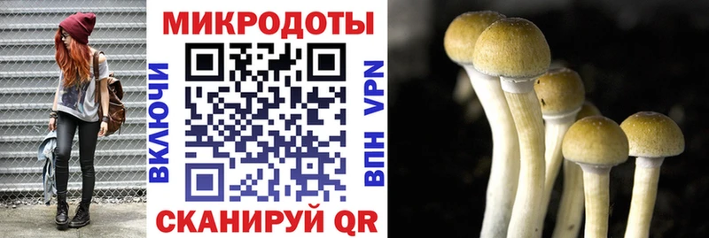 Галлюциногенные грибы ЛСД  Дубовка 