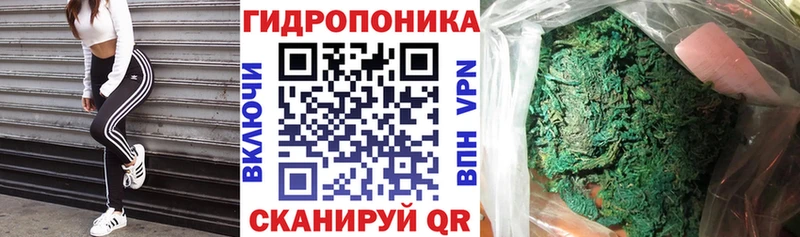 где купить наркоту  Дубовка  Канабис гибрид 